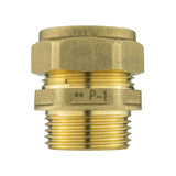 Brass Compression 22mm Straight with 25mm MDPE Straight - view 3